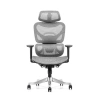 Ghế công thái học One Chair VGL301 khung hợp kim nhôm, lưới Wintex cao cấp - Giá ưu đãi 4.650.000 VND 6