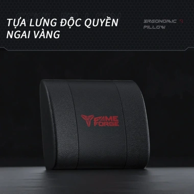 Ghế Gaming GAMEFORGE Specter Throne – Thái Học, Ngăn Gù Lưng, Giá 4.09 triệu 5 Ghế Gaming GAMEFORGE Specter Throne – Thái Học, Ngăn Gù Lưng, Giá 4.09 triệu 5