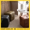 Ghế Lười Sofa Sang Trọng CMGL12 - Decor Phòng Khách, Giá Ưu Đãi 365.000đ 7
