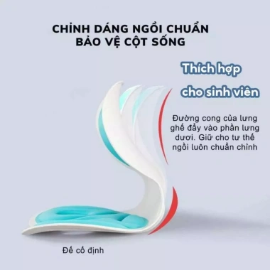 Ghế Ngồi Công Thái Học HOMINA Chống Đau Lưng - Dành cho Người Lớn và Người Già