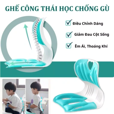 Ghế Ngồi Công Thái Học HOMINA Chống Đau Lưng - Dành cho Người Lớn và Người Già