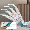 Ghế Nhún iiko Bấp Bênh cho Bé – Phát Nhạc, Kích Thích Thính Giác, Vải Thoáng Khí, 431.570₫ 5