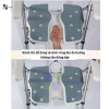 Ghế tắm rãnh 3D gấp gọn YADE hợp kim nhôm nhẹ, đế chống trượt, bảo hành 1 năm 1,710,000₫ 2