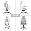 Ghế văn phòng công thái học Nghiafurniture Lumbar full lưới Wintex, piston class 4, giá 3,49 triệu 6