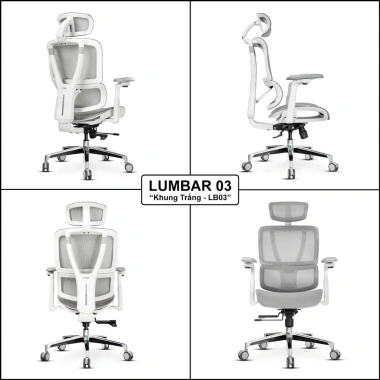 Ghế văn phòng công thái học Nghiafurniture Lumbar full lưới Wintex, piston class 4, giá 3,49 triệu