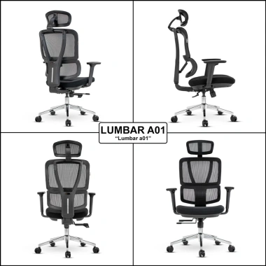 Ghế văn phòng công thái học Nghiafurniture Lumbar full lưới Wintex, piston class 4, giá 3,49 triệu
