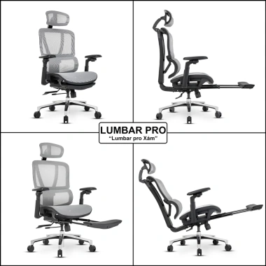 Ghế văn phòng công thái học Nghiafurniture Lumbar full lưới Wintex, piston class 4, giá 3,49 triệu