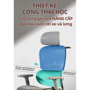 Ghế Xoay Công Thái Học CTH-19-LXR RESDANI - Tựa Lưng Linh Hoạt, Bảo Vệ Cột Sống, Ngả 135 độ - Giá 3.175.000₫ 5 Ghế Xoay Công Thái Học CTH-19-LXR RESDANI - Tựa Lưng Linh Hoạt, Bảo Vệ Cột Sống, Ngả 135 độ - Giá 3.175.000₫ 5