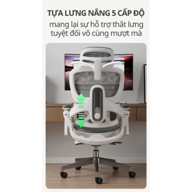 Ghế Xoay Công Thái Học CTH-19-LXR RESDANI - Tựa Lưng Linh Hoạt, Bảo Vệ Cột Sống, Ngả 135 độ - Giá 3.175.000₫ 7 Ghế Xoay Công Thái Học CTH-19-LXR RESDANI - Tựa Lưng Linh Hoạt, Bảo Vệ Cột Sống, Ngả 135 độ - Giá 3.175.000₫ 7