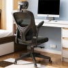 Ghế Xoay Văn Phòng Công Thái Học Tựa Đầu Giá Ưu Đãi 647.800₫ Hàng Có Sẵn