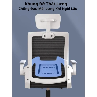 Ghế Xoay Văn Phòng ECOGRAY Công Thái Học Ngả Lưng Lưới - Chống Đau Mỏi Lưng, Học Tập Làm Việc, Giá Ưu Đãi 722.000₫