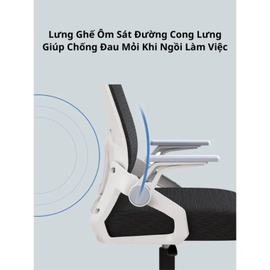 Ghế Xoay Văn Phòng ECOGRAY Công Thái Học Ngả Lưng Lưới - Chống Đau Mỏi Lưng, Học Tập Làm Việc, Giá Ưu Đãi 722.000₫