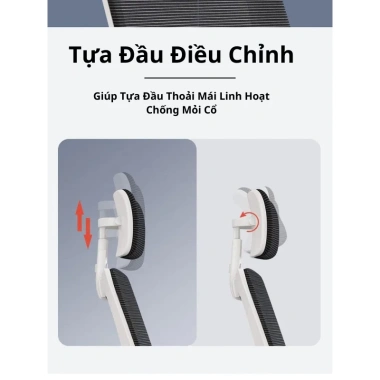 Ghế Xoay Văn Phòng ECOGRAY Công Thái Học Ngả Lưng Lưới - Chống Đau Mỏi Lưng, Học Tập Làm Việc, Giá Ưu Đãi 722.000₫ 9 Ghế Xoay Văn Phòng ECOGRAY Công Thái Học Ngả Lưng Lưới - Chống Đau Mỏi Lưng, Học Tập Làm Việc, Giá Ưu Đãi 722.000₫ 9