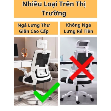 Ghế Xoay Văn Phòng ECOGRAY Công Thái Học Ngả Lưng Lưới - Chống Đau Mỏi Lưng, Học Tập Làm Việc, Giá Ưu Đãi 722.000₫