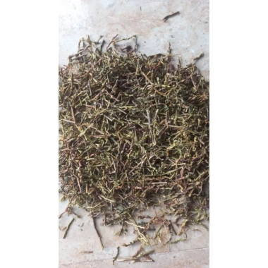 Giá buôn tại xưởng dây trà sơn mật hồng sâm - Chỉ 21.000đ, giảm 5.040đ, chất lượng cao, an toàn 2