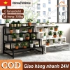 Giá đỡ cây sắt 2/3 lớp - Thép không gỉ, khung thang dày, giá chỉ 267.900₫
