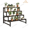 Giá đỡ cây sắt 2/3 lớp - Thép không gỉ, khung thang dày, giá chỉ 267.900₫ 9