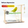 Giá đỡ chim vẹt tiêu Tứ Xuyên xích đu vỏ dừa bền bì giảm giá 17% chỉ 145.796 VND 2