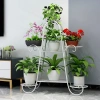 Giá đỡ hoa sắt kệ mọng nước xanh lá, phong cách Châu Âu, đa lớp cho phòng khách và ban công - Giá chỉ 184.188₫ 6