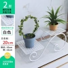Giá đỡ hoa sắt kệ mọng nước xanh lá, phong cách Châu Âu, đa lớp cho phòng khách và ban công - Giá chỉ 184.188₫ 8