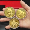 Giá Sỉ Tết 2.026 Xu Lá Vàng Ngựa Thần Tài May Mắn và Túi Gấm Phúc Lộc 5.298₫ 2