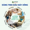 Giá Tốt Tinh Dầu Chuyên Dụng Cho Máy Xông VUATINHDAU 500ml/1.000ml - Khuếch Tán Thơm Phòng, Giảm Giá 398.860 VND 4