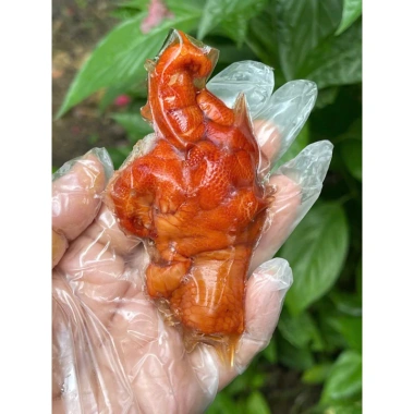 Gia vị chân gà cay thảo mộc 1 set - ủ 1-2kg, hương vị đậm đà, giảm còn 55.000đ