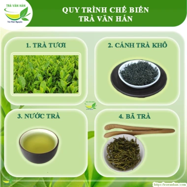 Giá Xưởng 500g Trà Nõn Tôm Đặc Biệt Thái Nguyên - Trà Văn Hán Việt GAP, Nước Xanh, Hậu Ngọt - 185.000₫ 6 Giá Xưởng 500g Trà Nõn Tôm Đặc Biệt Thái Nguyên - Trà Văn Hán Việt GAP, Nước Xanh, Hậu Ngọt - 185.000₫ 6