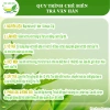 Giá Xưởng 500g Trà Nõn Tôm Đặc Biệt Thái Nguyên - Trà Văn Hán Việt GAP, Nước Xanh, Hậu Ngọt - 185.000₫ 8
