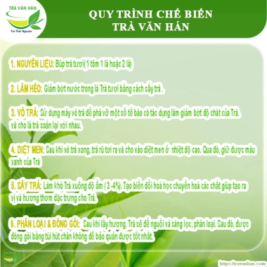Giá Xưởng 500g Trà Nõn Tôm Đặc Biệt Thái Nguyên - Trà Văn Hán Việt GAP, Nước Xanh, Hậu Ngọt - 185.000₫