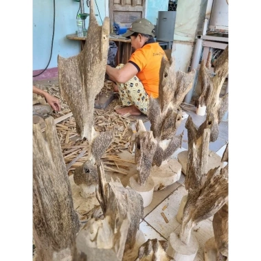 Giá Xưởng Bán Sỉ Giác Trầm 5kg Loại Lớn Dùng Xông Đốt Làm Nhang Làm Nụ 170k 8 Giá Xưởng Bán Sỉ Giác Trầm 5kg Loại Lớn Dùng Xông Đốt Làm Nhang Làm Nụ 170k 8