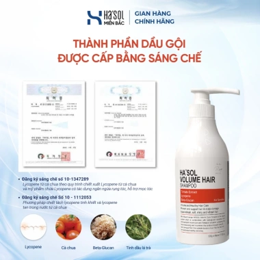 Giải pháp phục hồi tóc Hasol: Dầu gội cam Volume 500g + Kem ủ tóc, ngăn rụng, tóc dày tự nhiên – 850.000đ 6