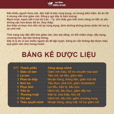 Giảm Mỡ Lá Nam Detox An Khang - Thải Mỡ Bụng, Kiểm Soát Cân Nặng, 100.000 VND 4