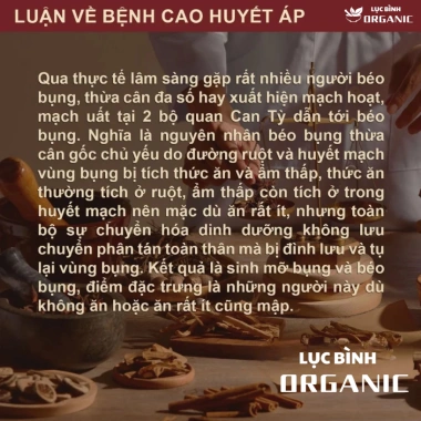 Giảm Mỡ Lá Nam Detox An Khang - Thải Mỡ Bụng, Kiểm Soát Cân Nặng, 100.000 VND 8