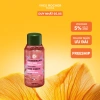 Giấm xả tóc bóng mượt Yves Rocher Mini Shine Raspberry 50ml - Giá 180.000 (Giảm 21%)