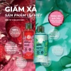 Giấm xả tóc Yves Rocher Shine With Raspberry, dung tích lớn, bóng mượt, giá 427k 4