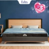 Giao Tận Cửa Nệm Cao Su Thiên Nhiên Felix Support - Thoáng Khí, Hỗ Trợ Cột Sống