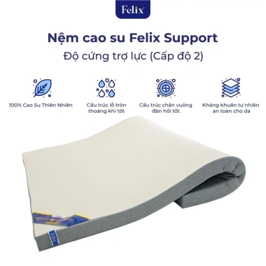 Giao Tận Cửa Nệm Cao Su Thiên Nhiên Felix Support - Thoáng Khí, Hỗ Trợ Cột Sống 2