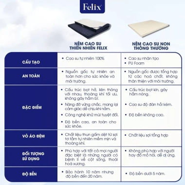 Giao Tận Cửa Nệm Cao Su Thiên Nhiên Felix Support - Thoáng Khí, Hỗ Trợ Cột Sống 6