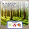 Giao Tận Cửa Nệm Cao Su Thiên Nhiên Felix Support - Thoáng Khí, Hỗ Trợ Cột Sống 9
