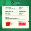 Giấy Bếp FAIRY Đỏ Cao Cấp 100 Tờ Mềm Mịn Thấm Hút Dầu Lau Chùi Tiện Lợi 4