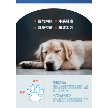 Giày chó co giãn, khóa dây, đế mềm thoáng khí, chống trượt, phong cách xuân thu 208.002đ