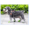 Giày chó nhỏ Velcro đế mềm thoáng khí, chống trượt, chống nóng, dùng trong nhà 2