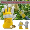Giấy chứng nhận bảo vệ – Găng tay da hai lớp, chống gai sầu riêng, hàn điện, 86.000₫ 5