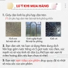 Giấy Dán Kính Cầu Vồng 0.9x0.5m - Bảo Vệ Riêng Tư, Chống UV, Cao Cấp, 9.900 VND 3