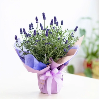 Giấy Gói Hoa Vân Long Trơn - Giấy Mếch Lụa Hàn Quốc 70k Giảm Giá Đặc Biệt 3