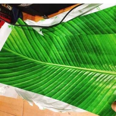 Giấy gói lá chuối, lá dong 32x62cm - Gói bánh chưng tết, giá chỉ 4.999đ 2