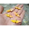 Giấy Hạc Thủ Công 50 Tờ Màu Vàng Ánh Kim Gấp Hoa Sen Trang Trí - Giá 25.000₫ 3
