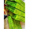 Giấy Hình Lá Dong KT32x64 - Giấy Gói Bánh Chưng Giả, chỉ 15.000 VND, giảm giá, cao cấp 4