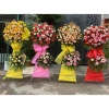 Giấy Mếch Mỏng Vân Long 30 Tờ - Siêu Mềm, Thấm Hút, Giá 33.000 VNĐ Giảm 6.930 3